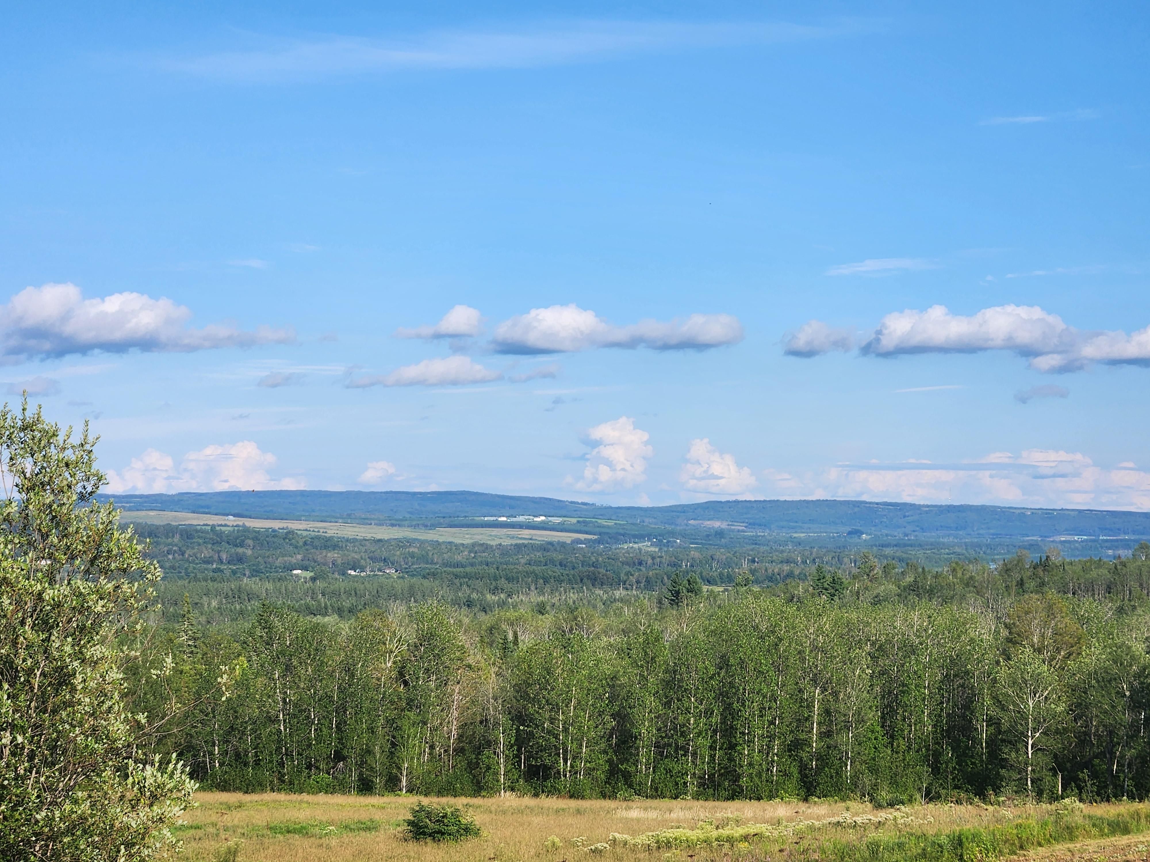 Van Buren, Aroostook County, ME Timberland Property, Undeveloped Land for sale Property ID