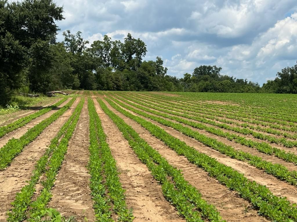 Marianna, Jackson County, FL Farms and Ranches, Lakefront Property, Waterfront Property for sale