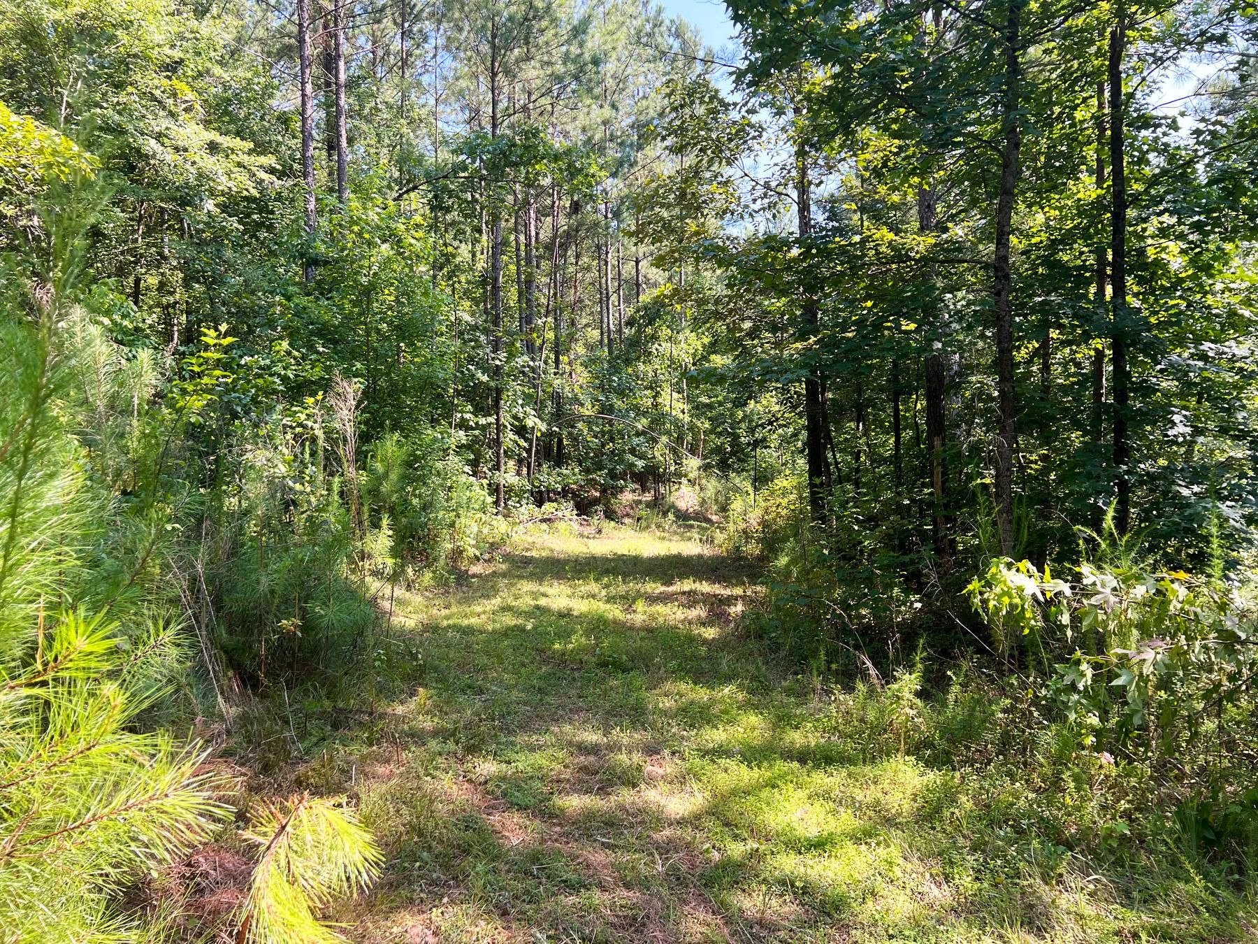 Lindale, Floyd County, GA Farms and Ranches, Recreational Property, Hunting Property for sale