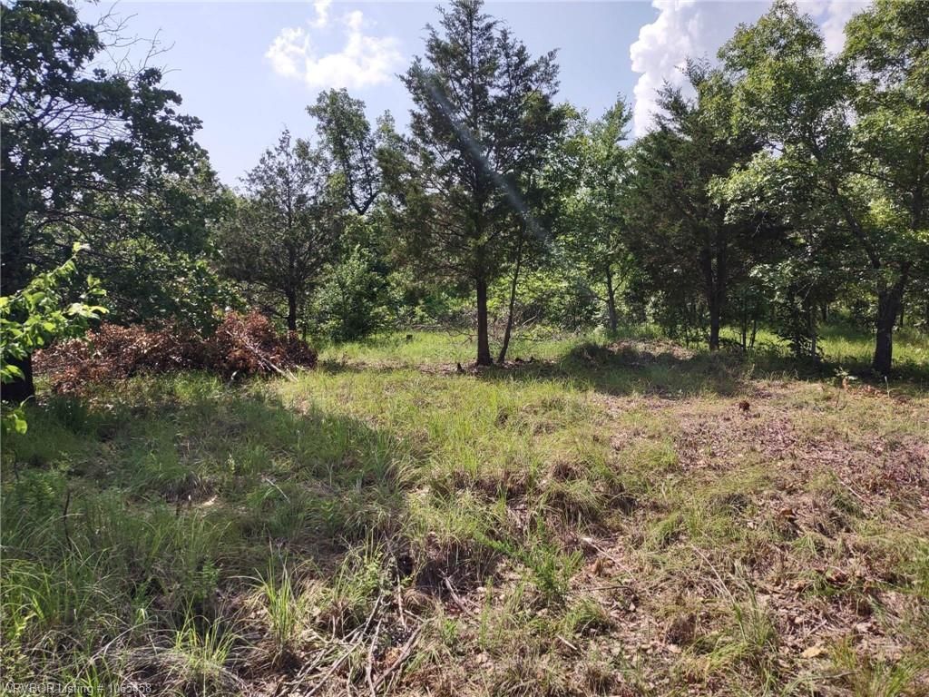 Sallisaw, Sequoyah County, OK Recreational Property, Hunting Property