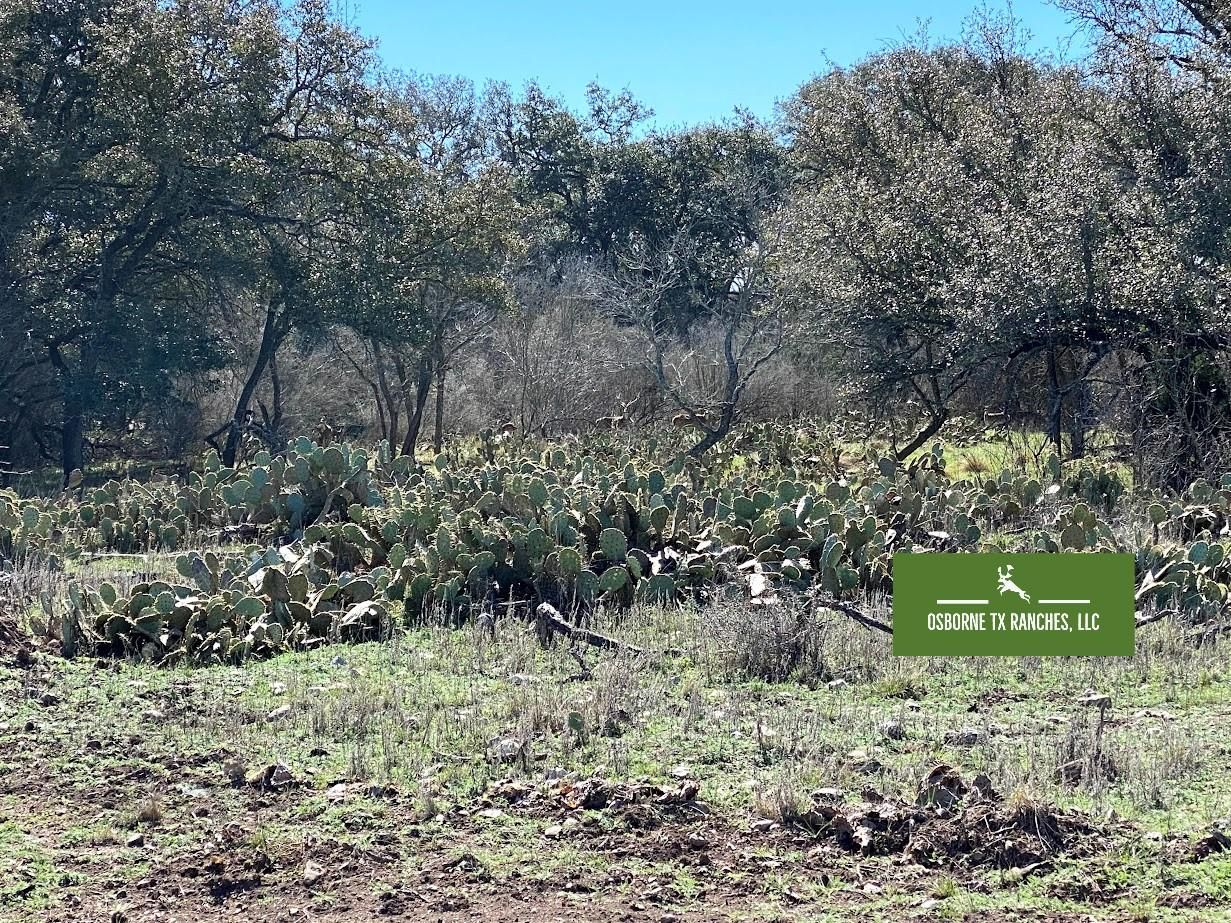 Rocksprings, Edwards County, TX Farms and Ranches, Recreational