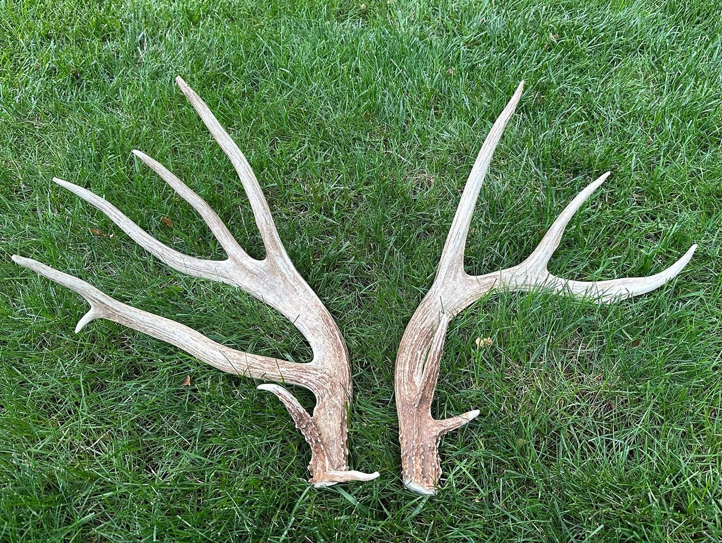 Osage City, Osage County, KS Recreational Property, Timberland Property