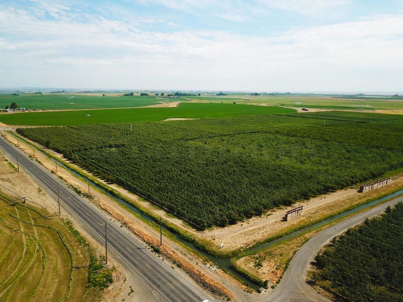 Eltopia, Franklin County, WA Farms and Ranches for sale Property ID