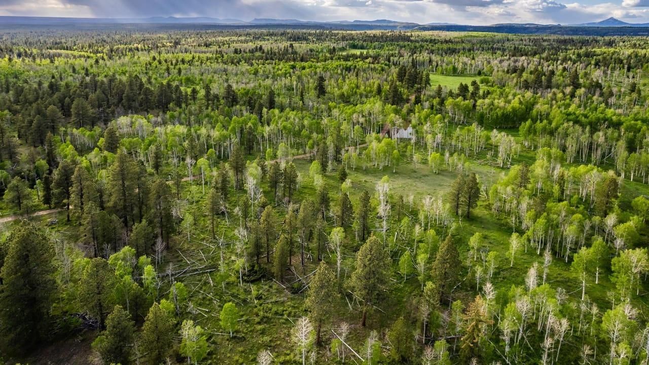 Mancos, Montezuma County, CO Farms and Ranches, Recreational Property