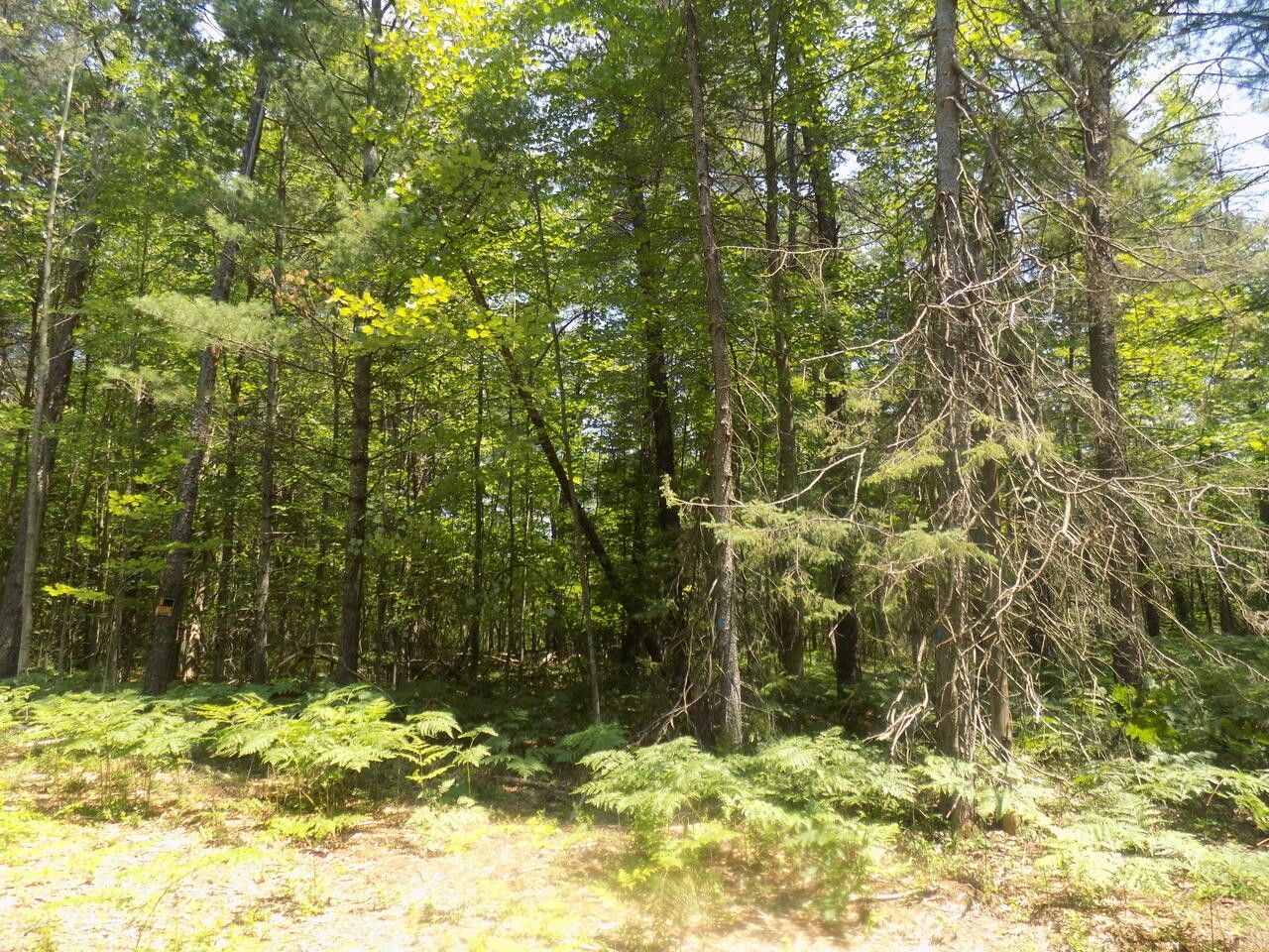 Prudenville, County, MI Undeveloped Land for sale Property ID