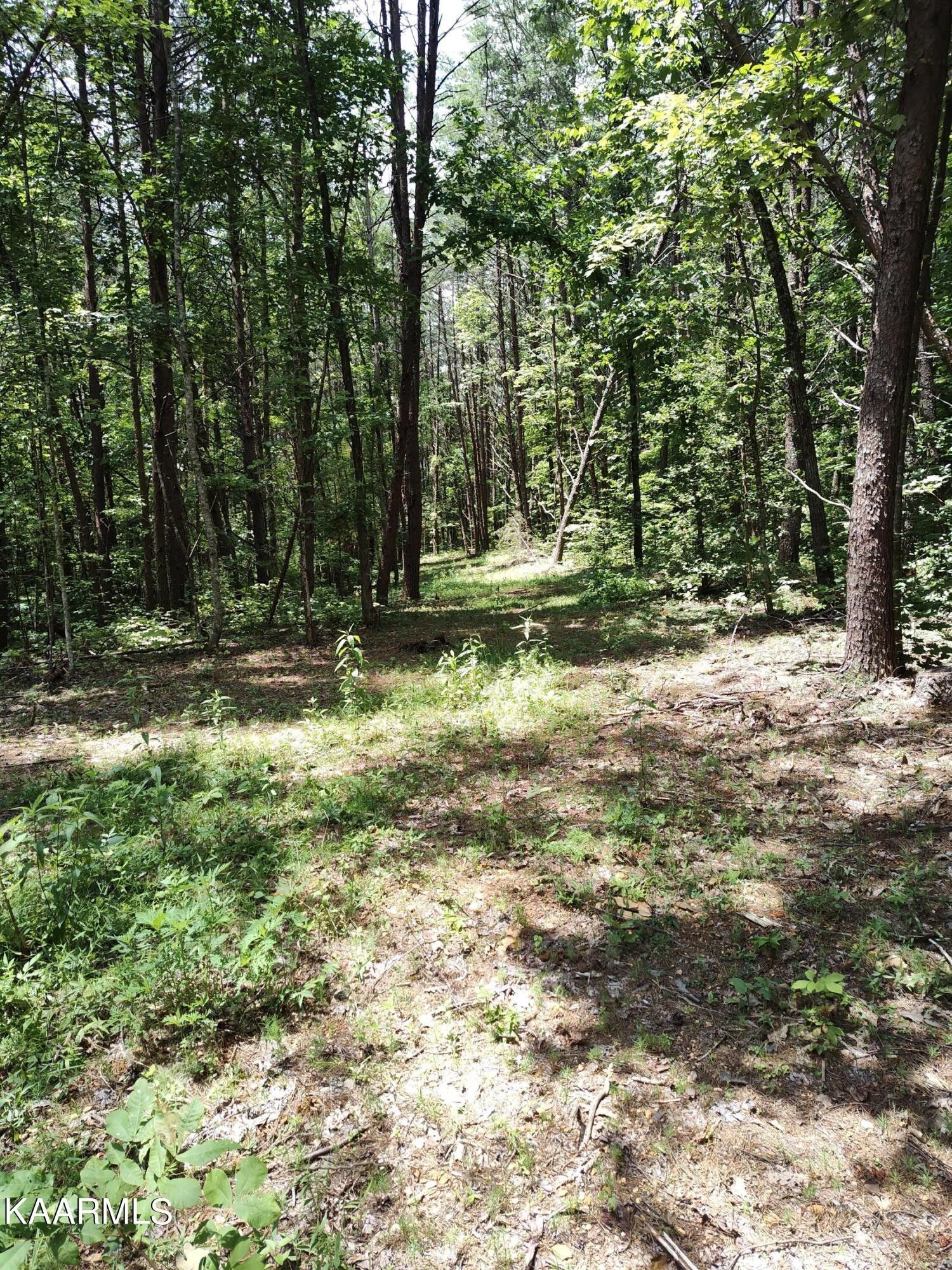 Tellico Plains, Monroe County, TN for sale Property ID 417377639