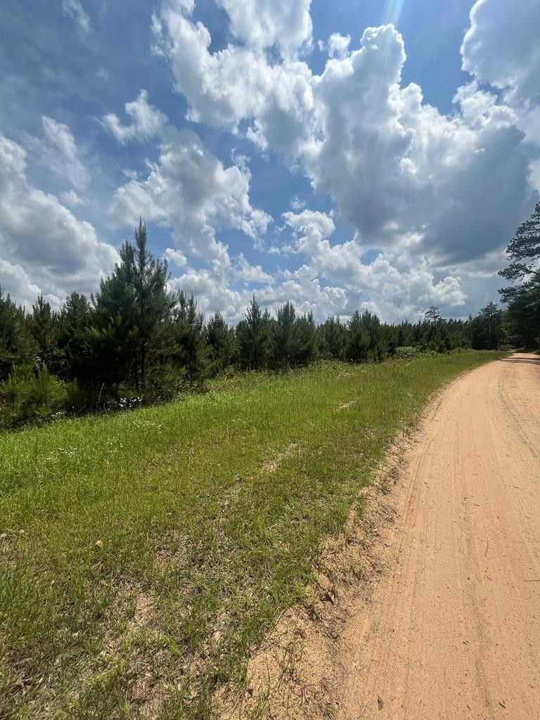 Lumpkin, Stewart County, GA for sale Property ID 417378563 LandWatch