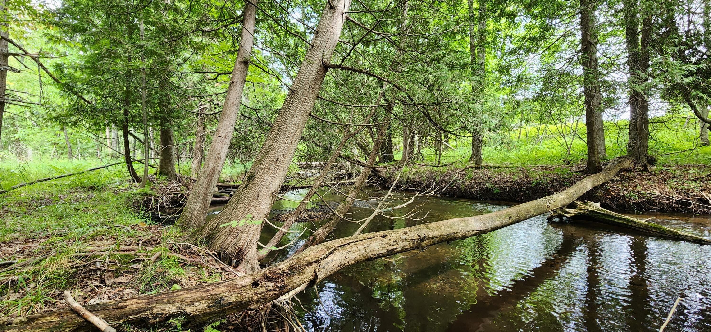 Kaleva, Manistee County, MI Undeveloped Land, Lakefront Property