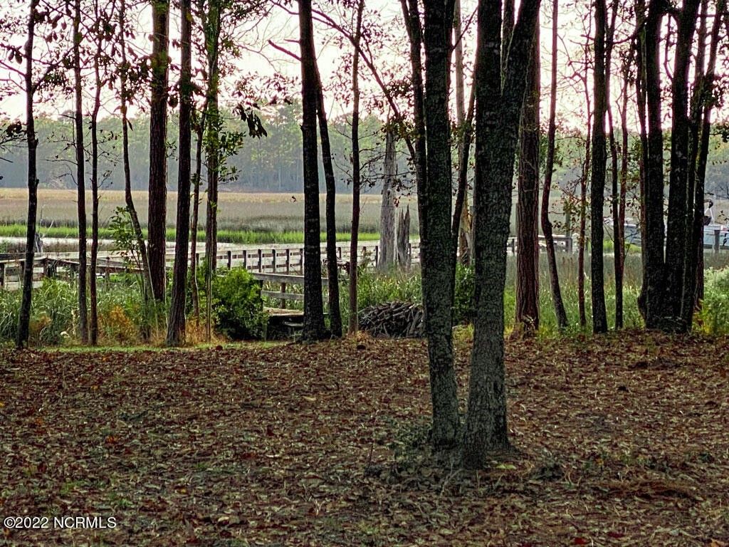 Bolivia, Brunswick County, NC Undeveloped Land, Lakefront Property