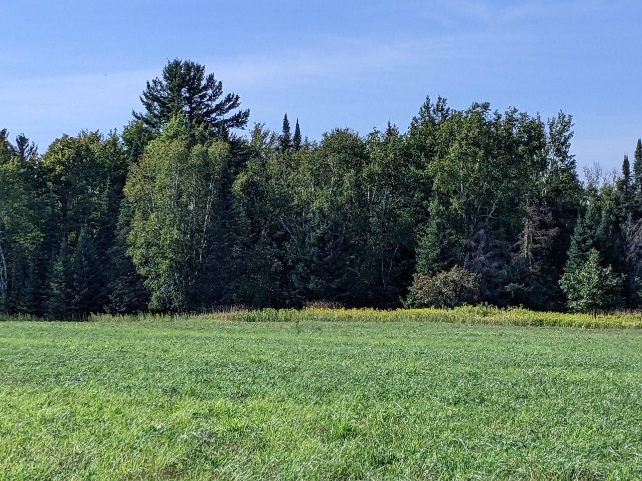 Ingram, Rusk County, WI Undeveloped Land for sale Property ID 417381296 LandWatch