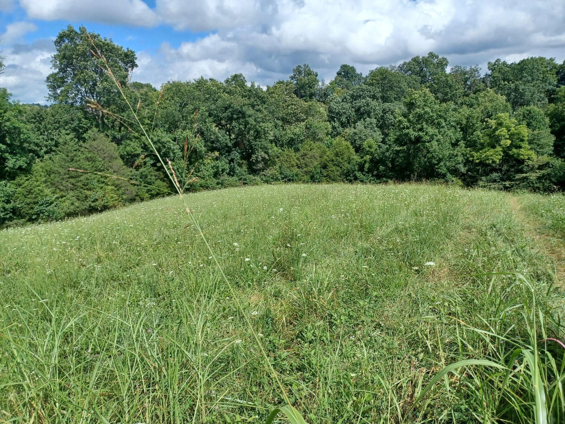 Mackville, Washington County, KY Undeveloped Land for sale Property ID