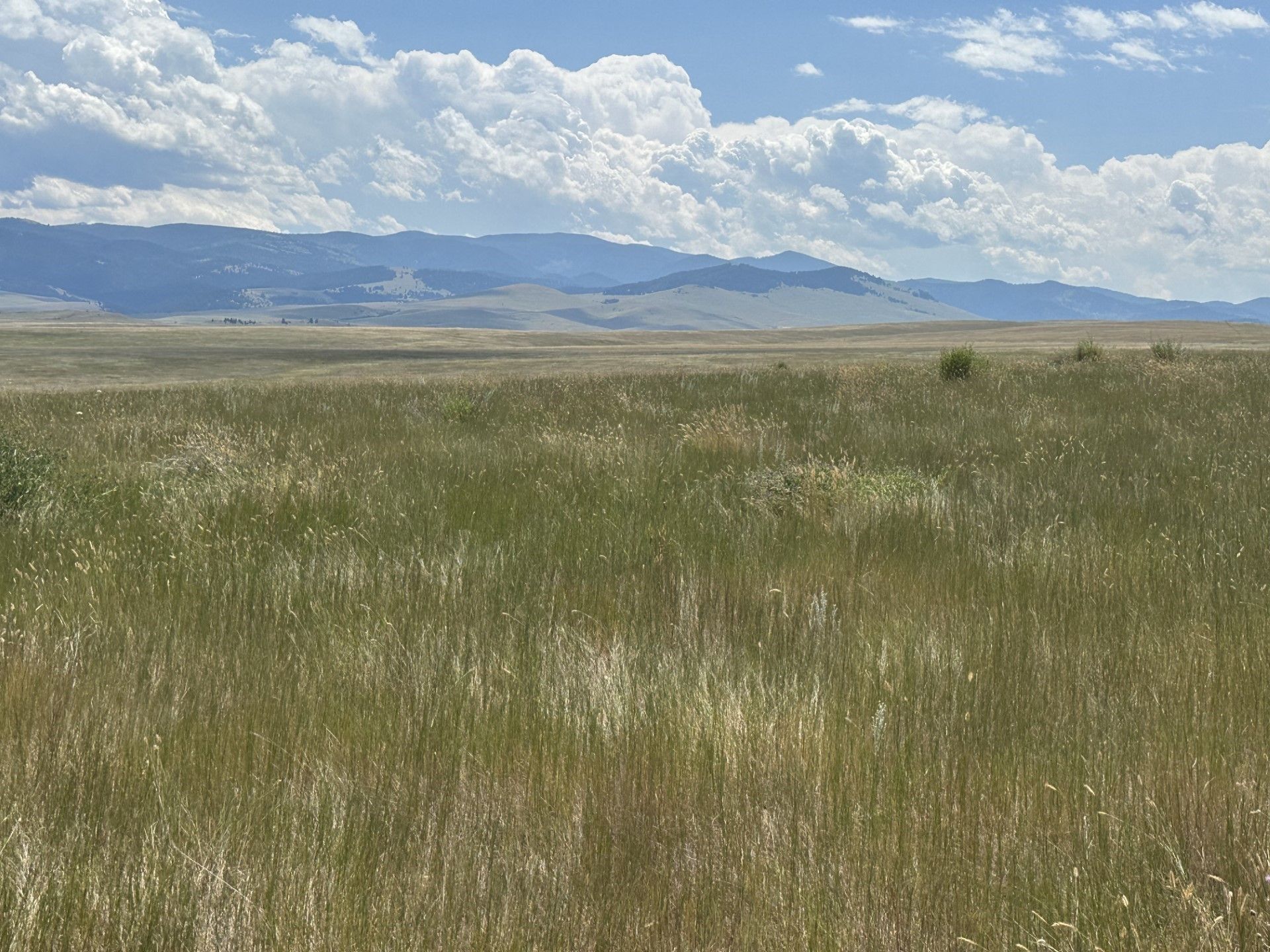 Hall, Granite County, MT Undeveloped Land for sale Property ID