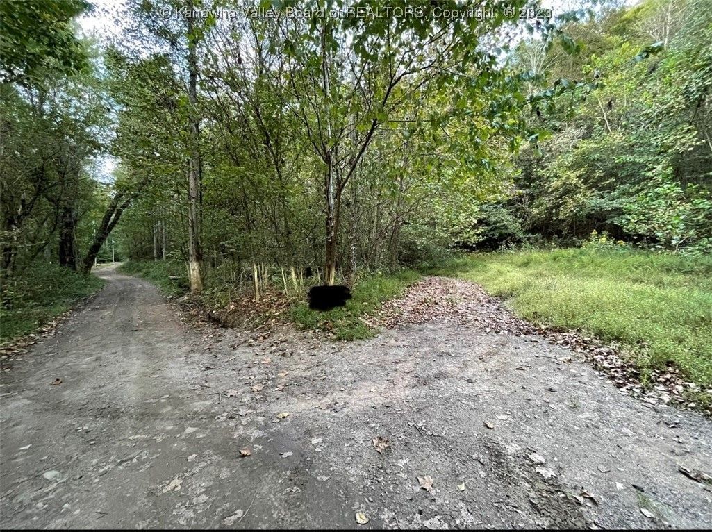 Bomont, Clay County, WV Undeveloped Land, Lakefront Property, Waterfront Property for sale