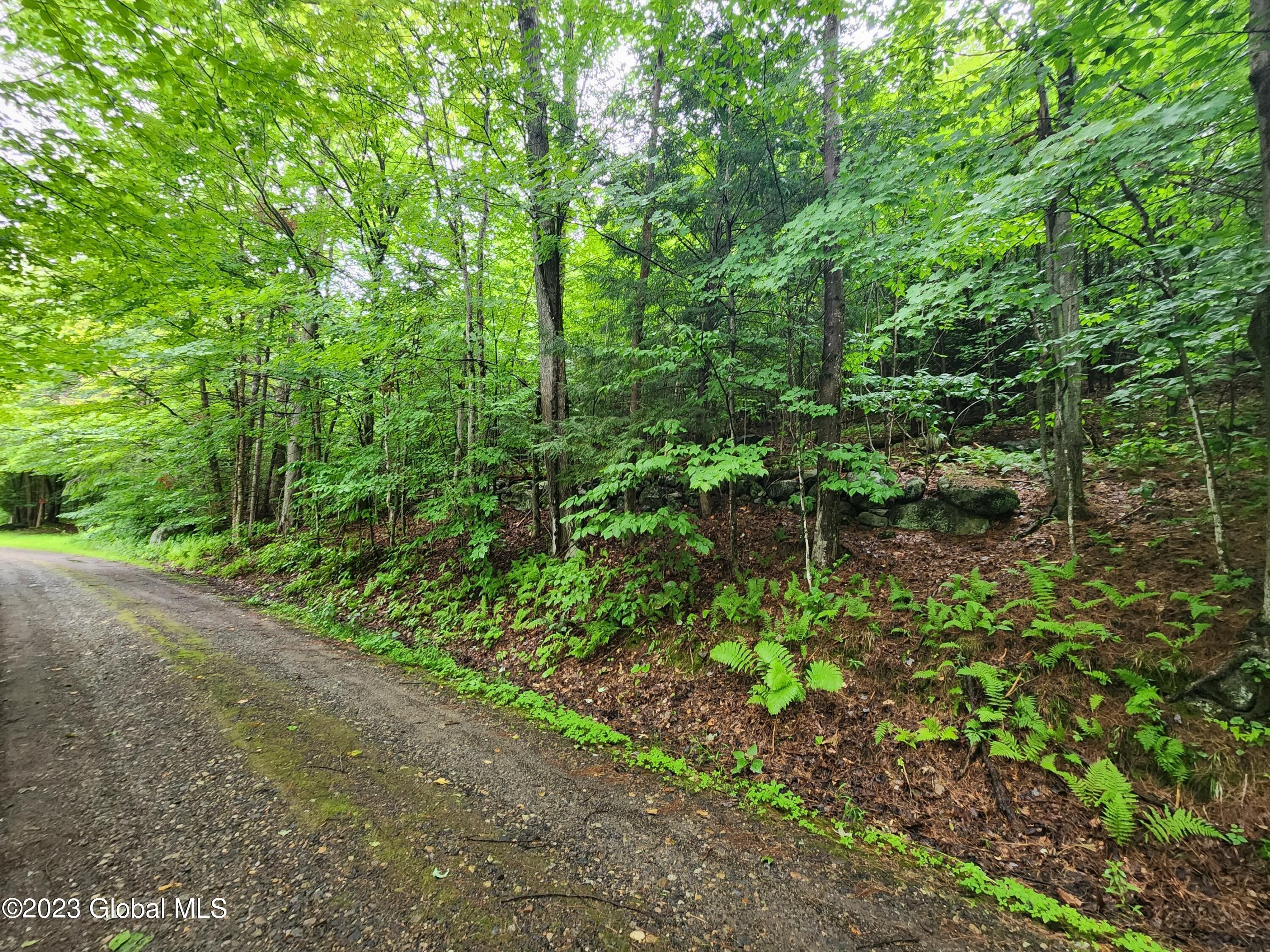 Johnstown, Fulton County, NY Undeveloped Land for sale Property ID
