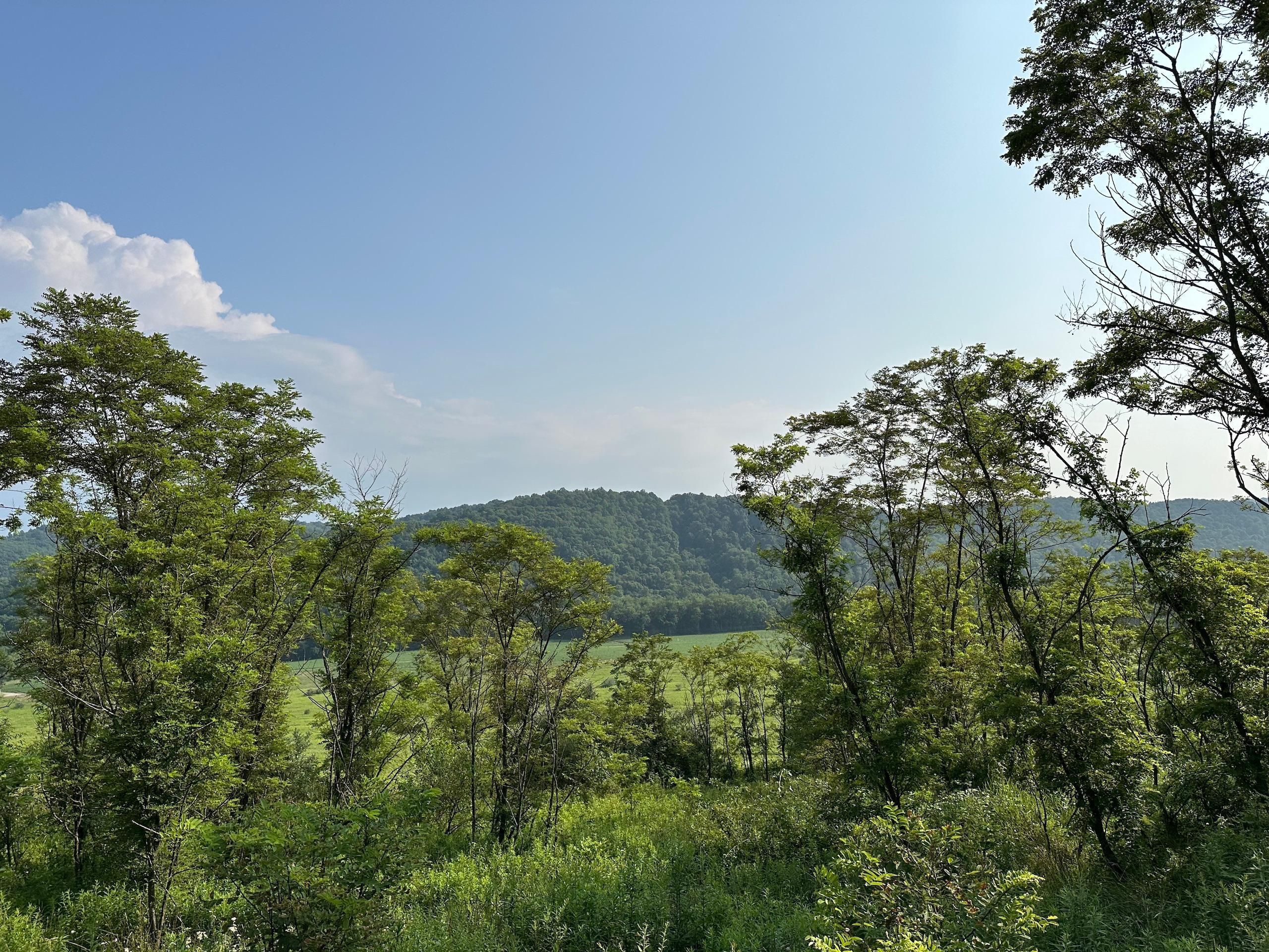 Creekside, Indiana County, PA Recreational Property, Timberland