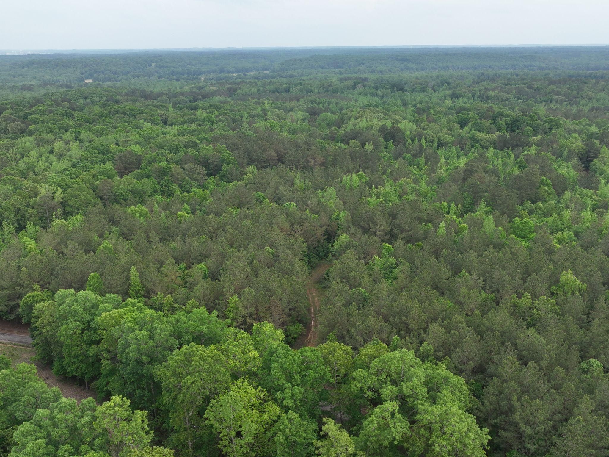 Shiloh, Hardin County, TN Recreational Property, Undeveloped Land for