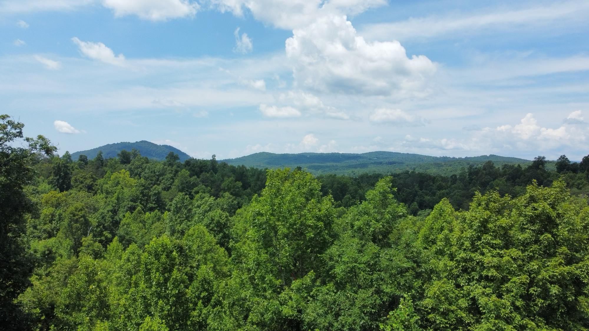 Union Mills, McDowell County, NC Undeveloped Land, Hunting Property for