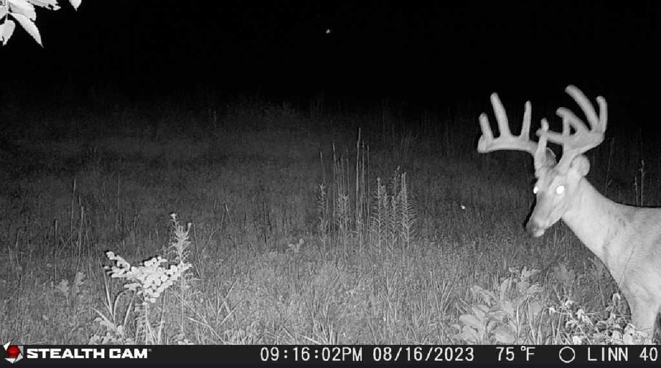 New Boston, Linn County, MO Farms and Ranches, Recreational Property