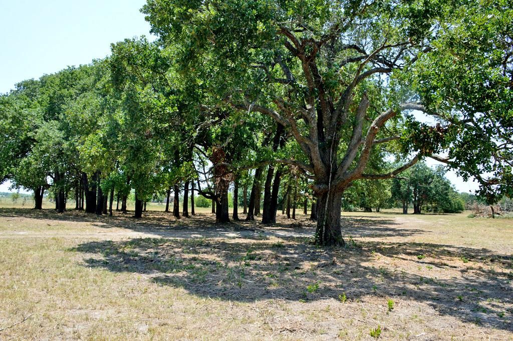 TBD 155 Farm to Market 1227, Navasota, TX 77868 LandWatch