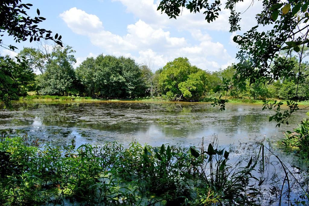 TBD 119 Farm to Market 1227, Navasota, TX 77868 LandWatch