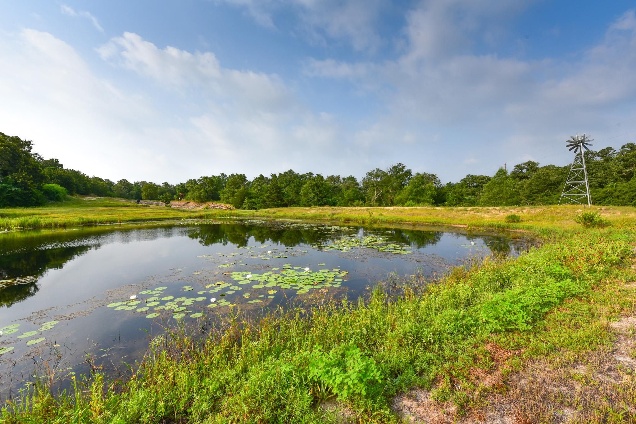 Caldwell, Burleson County, TX Farms and Ranches, Hunting Property for