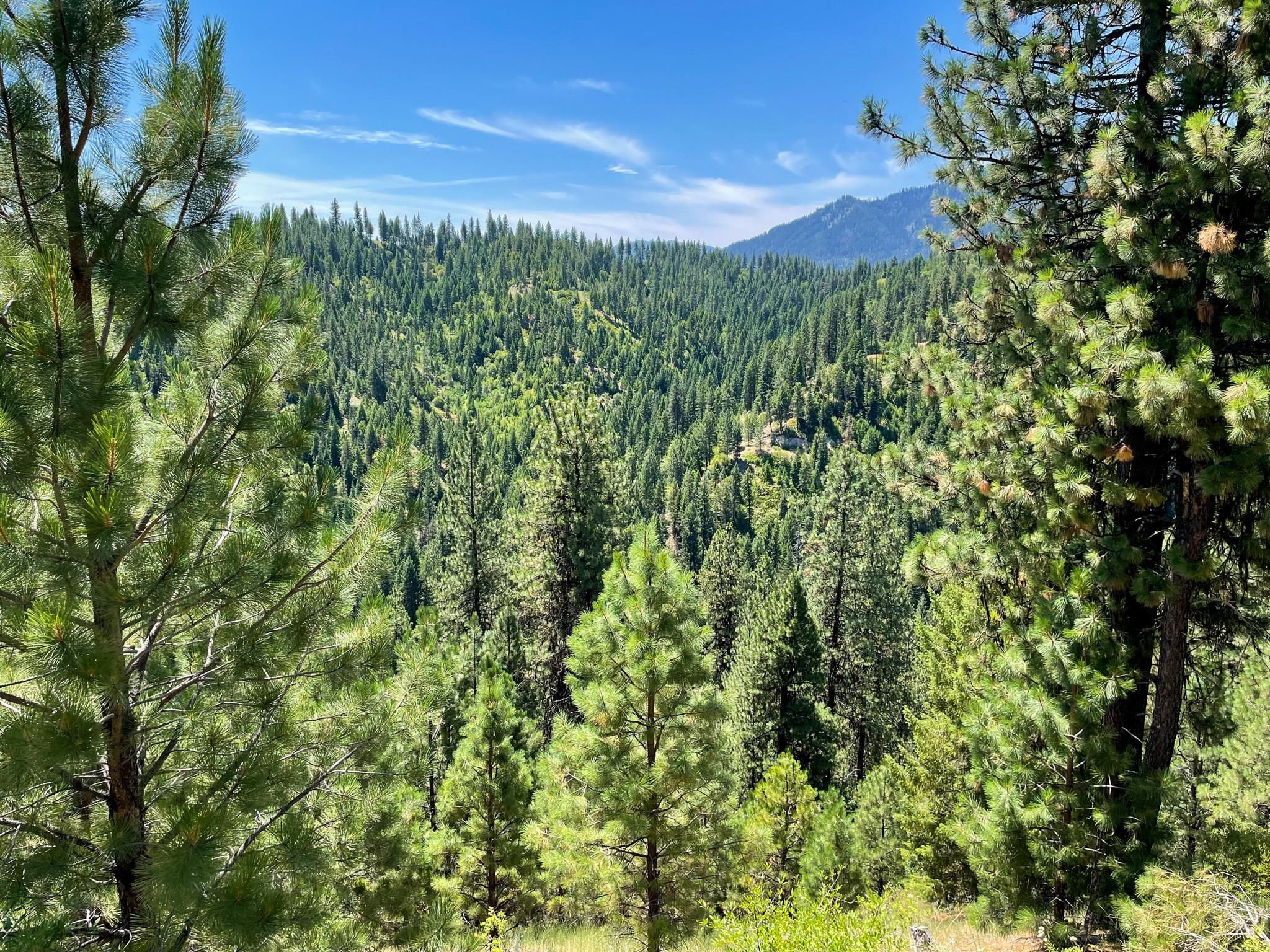 Crouch, Boise County, ID Recreational Property for sale Property ID