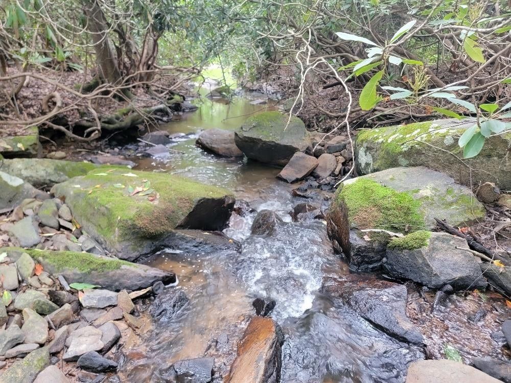 Troutdale, Grayson County, VA House for sale Property ID 417388035