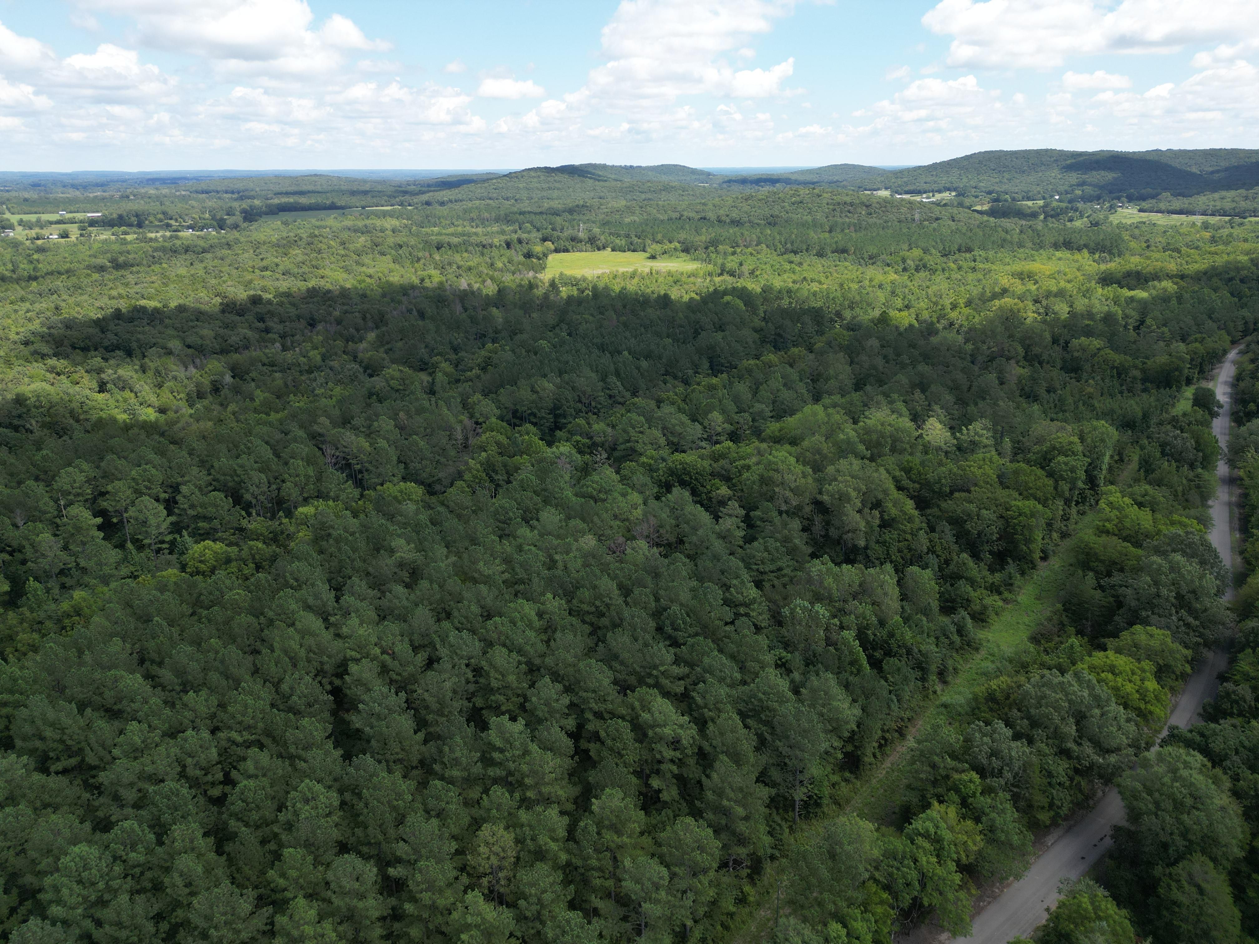 Youngtown, Lawrence County, AL Recreational Property, Timberland