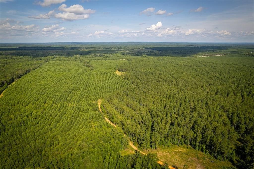 Pittsview, Russell County, AL Undeveloped Land for sale Property ID