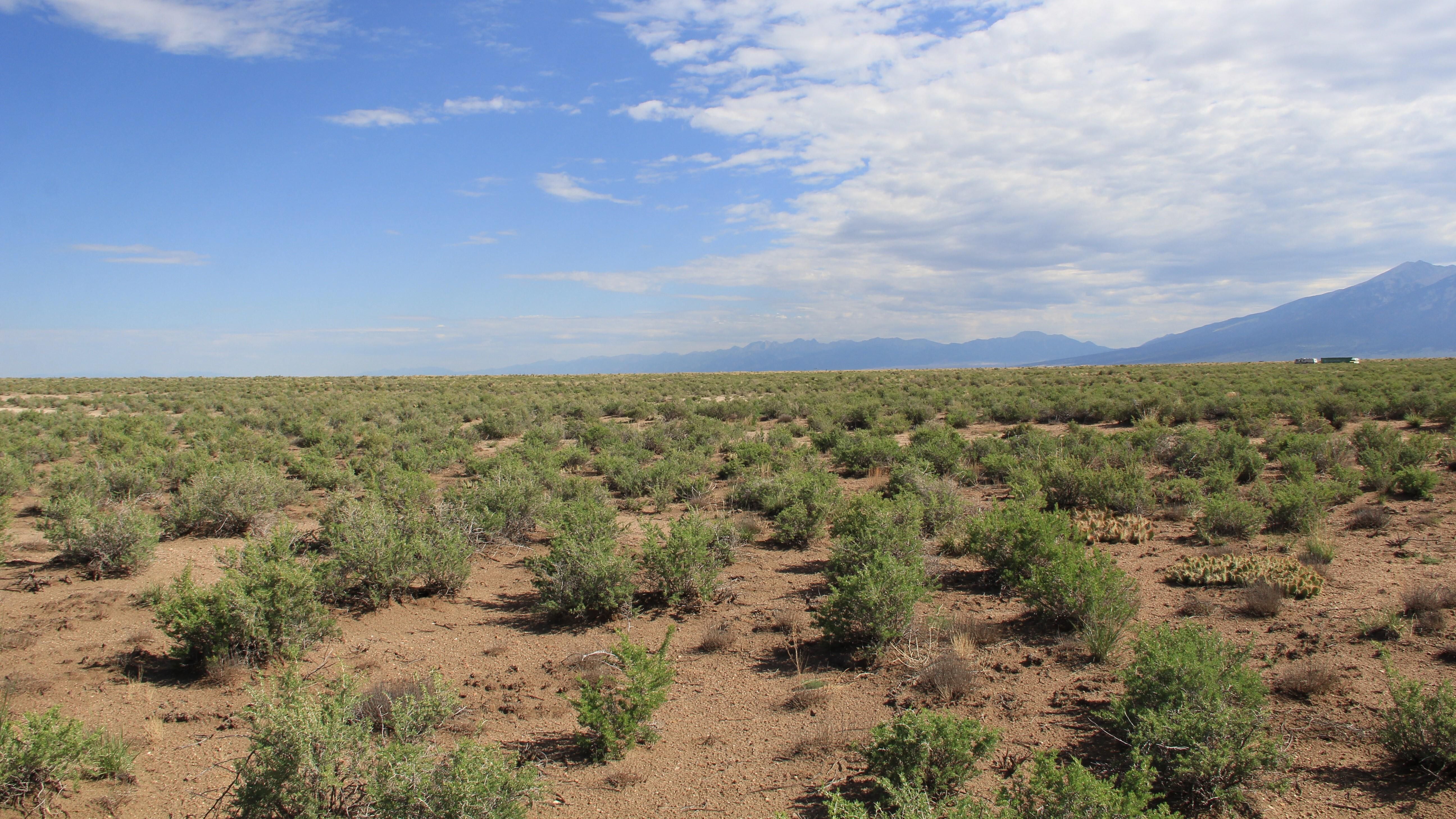 Blanca, Costilla County, CO Recreational Property, Undeveloped Land