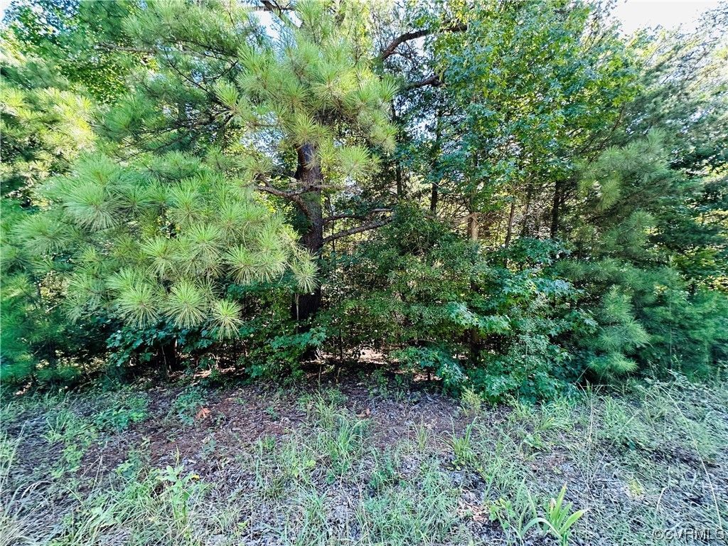 Bumpass, Louisa County, VA Undeveloped Land for sale Property ID