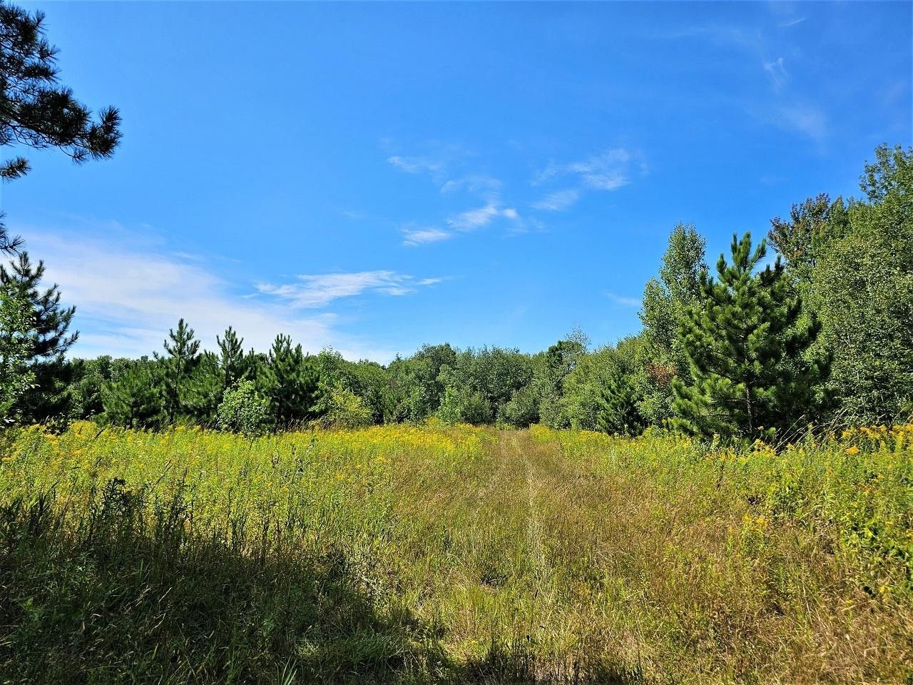 Hurley, Iron County, WI Undeveloped Land for sale Property ID