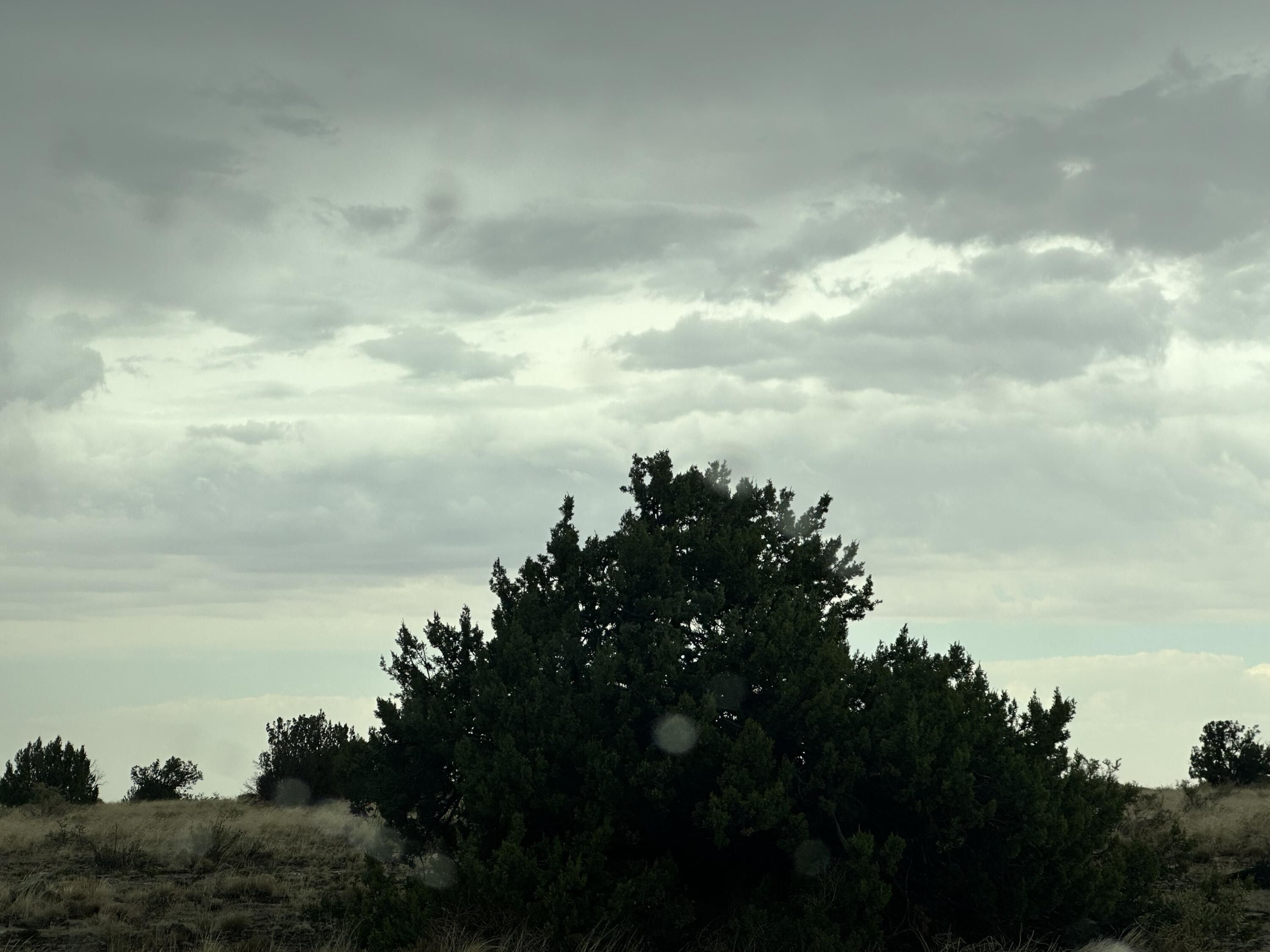 Heber, Navajo County, AZ Undeveloped Land for sale Property ID