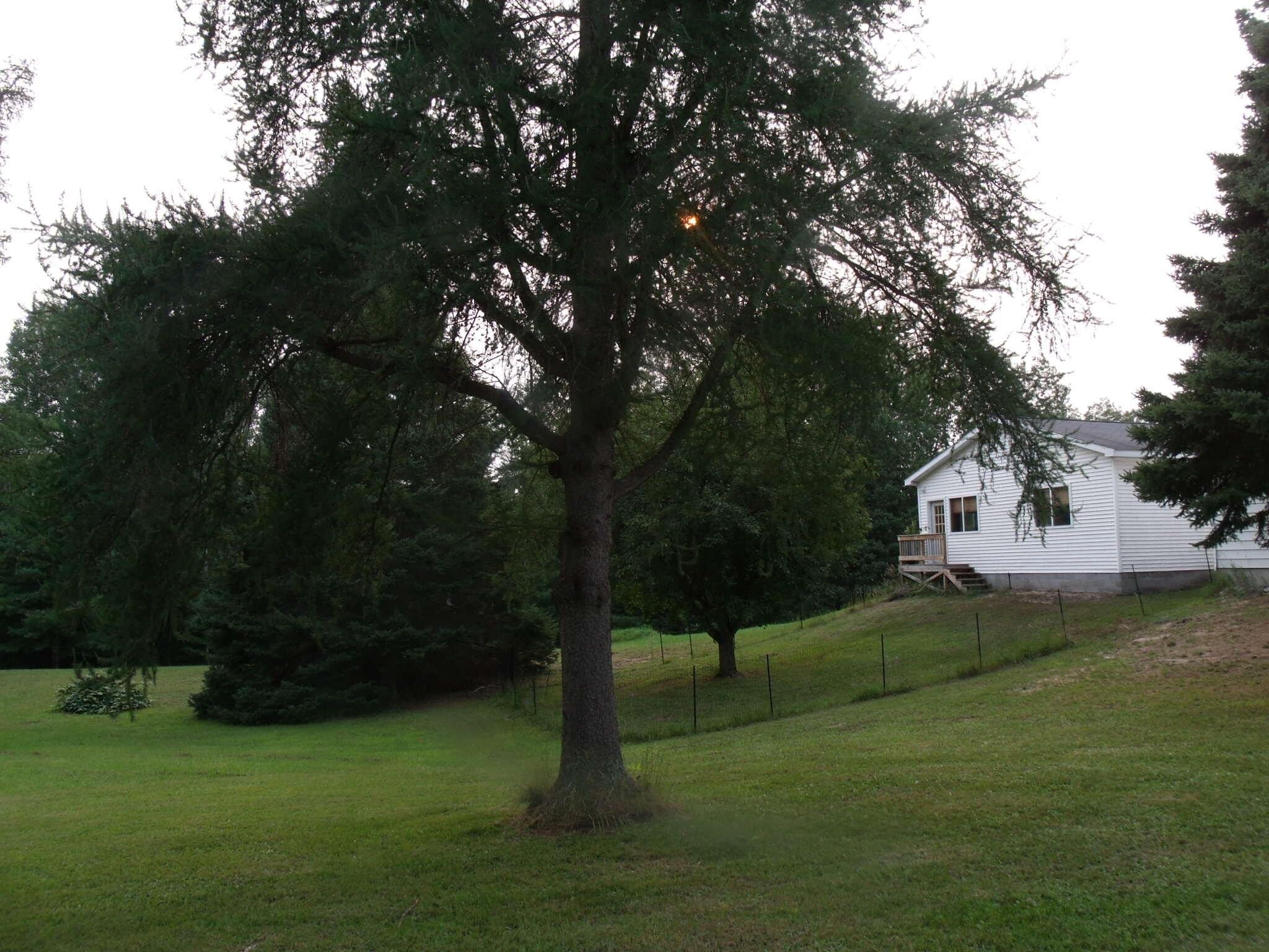 Wolverine, Cheboygan County, MI House for sale Property ID 417391213