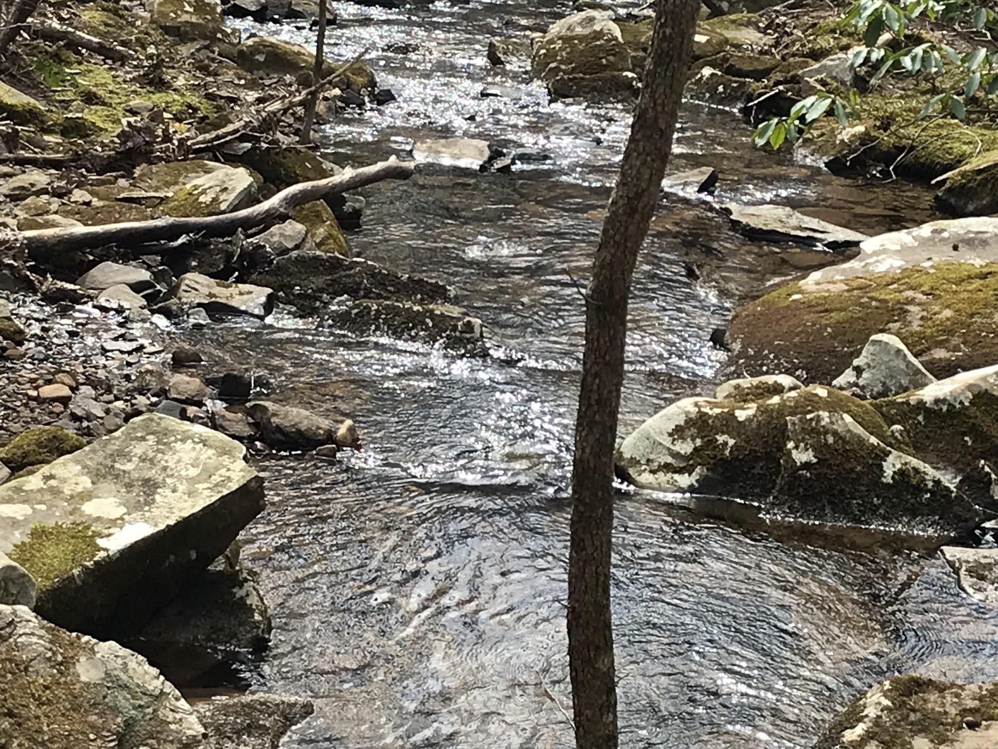 Dunlap, Sequatchie County, TN Undeveloped Land, Homesites for sale