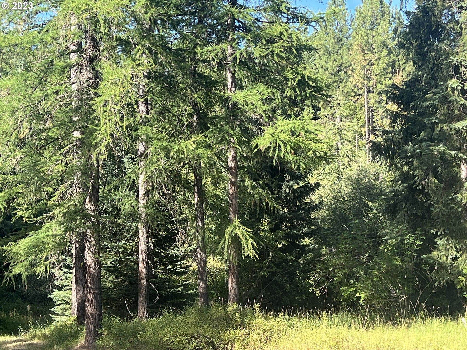000 Hwy. 204, Weston, OR 97886 MLS 23309268 LandWatch