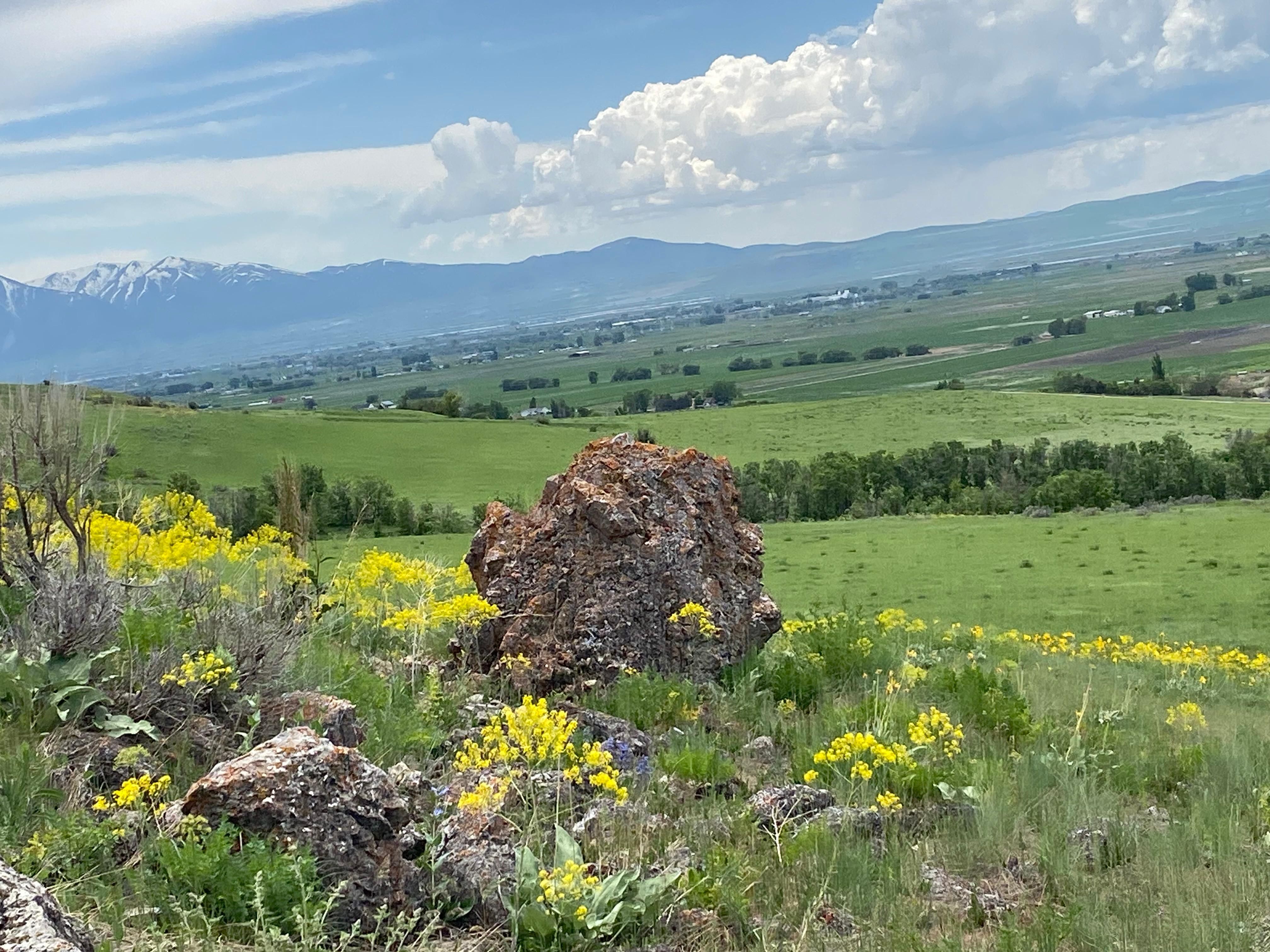 Richmond, Cache County, UT Farms and Ranches, Undeveloped Land, Horse