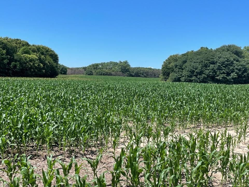 Norton, Norton County, KS Farms and Ranches for auction Property ID