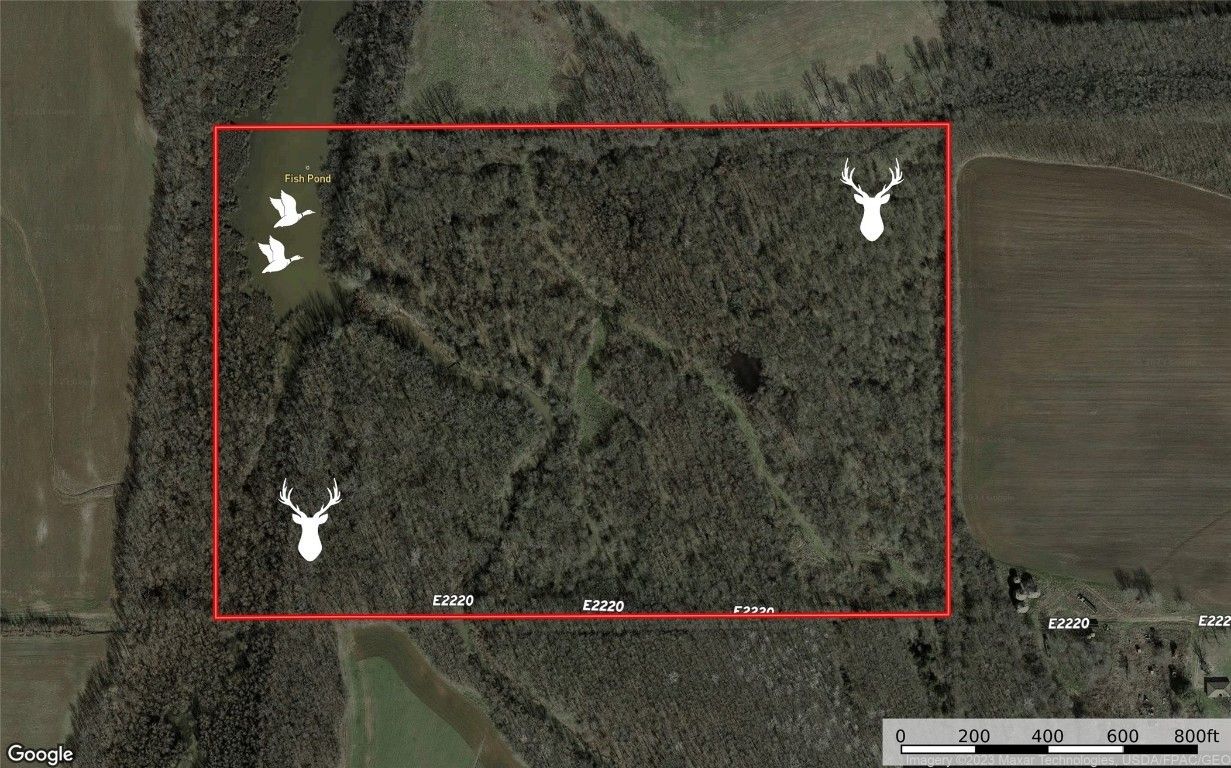 Idabel, McCurtain County, OK Undeveloped Land for sale Property ID