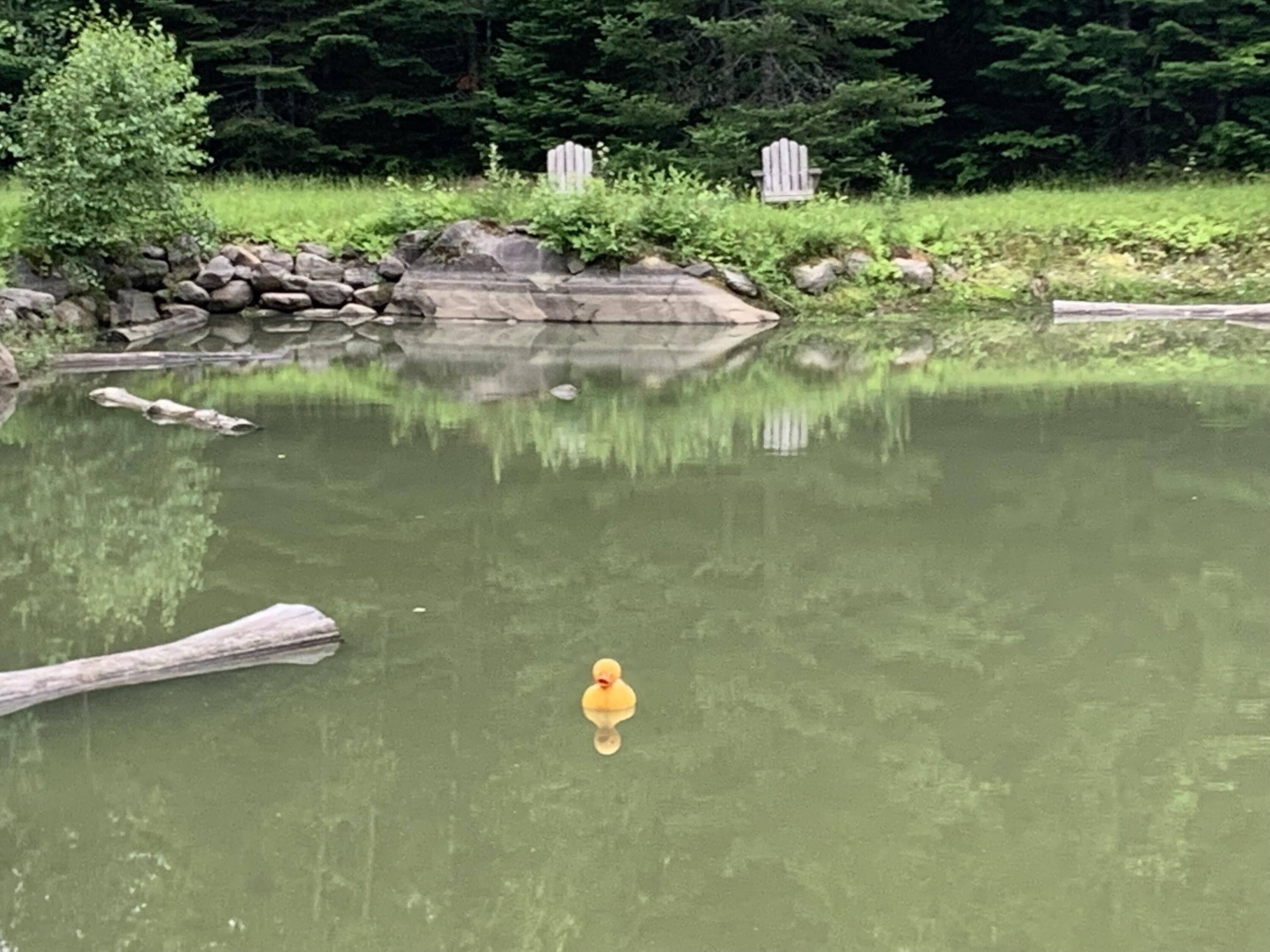 Lagrange, Penobscot County, ME Undeveloped Land, Lakefront Property