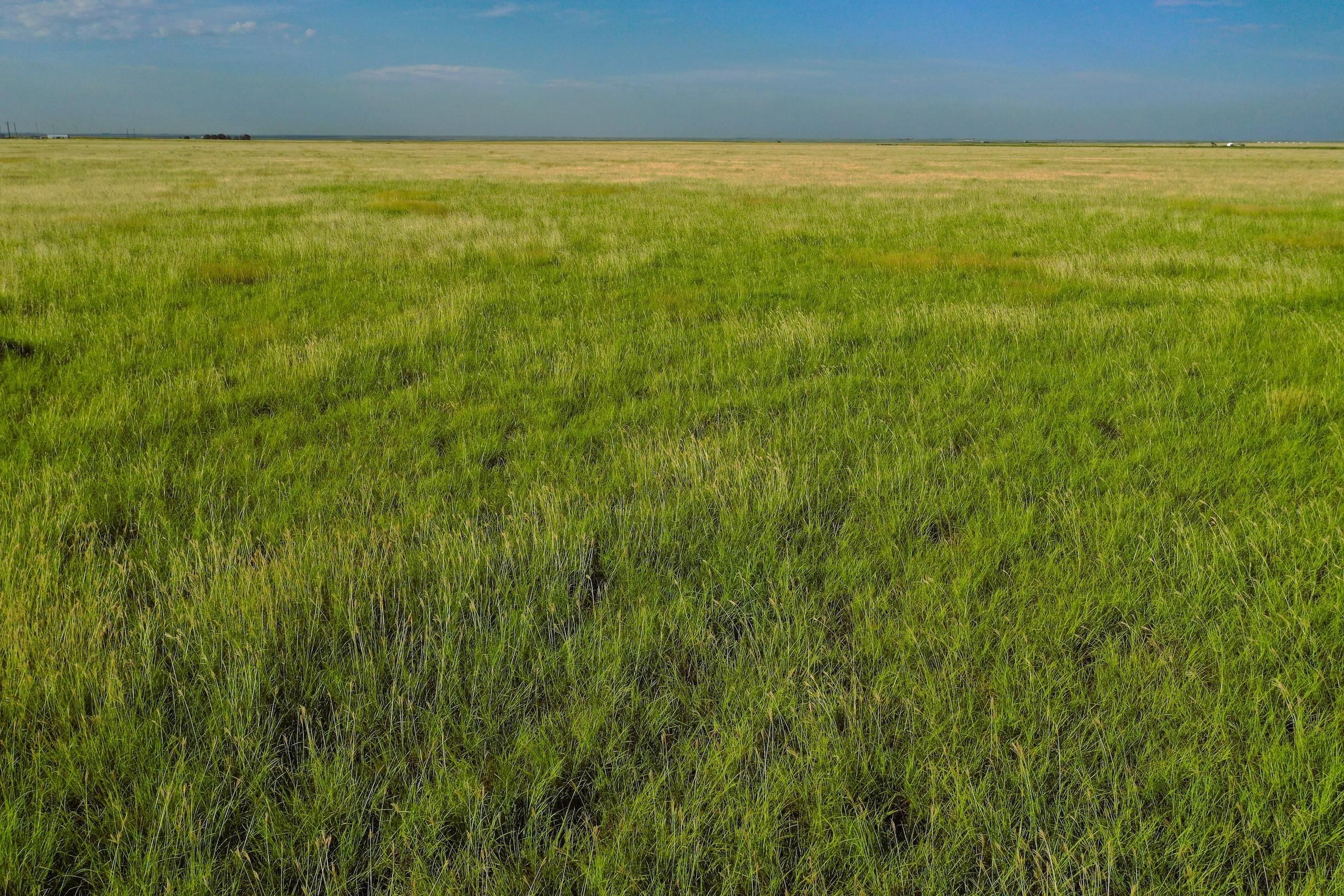 Hooker, Texas County, OK Farms and Ranches for sale Property ID