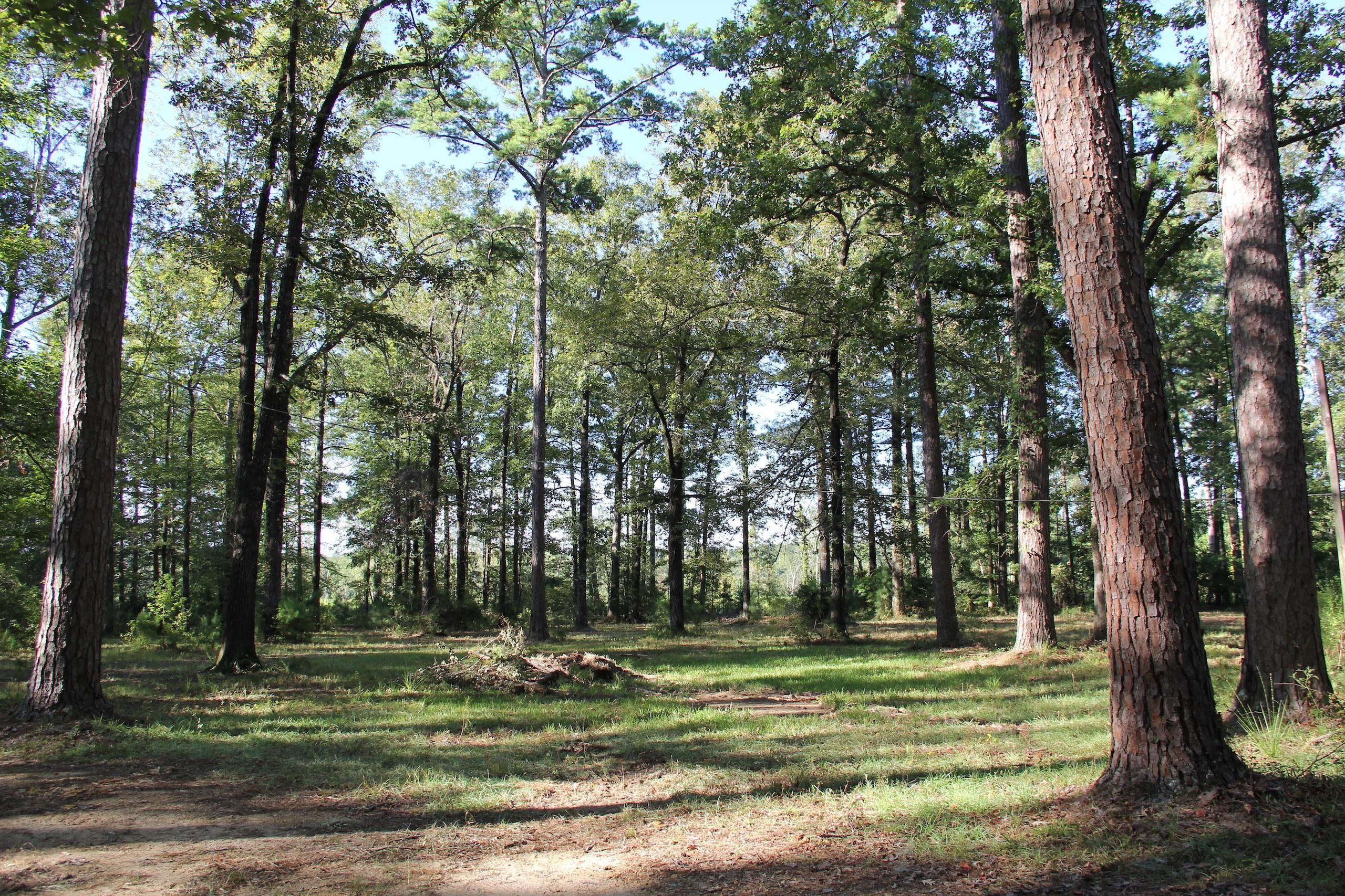 Roxie, Franklin County, MS Farms and Ranches, Recreational Property for