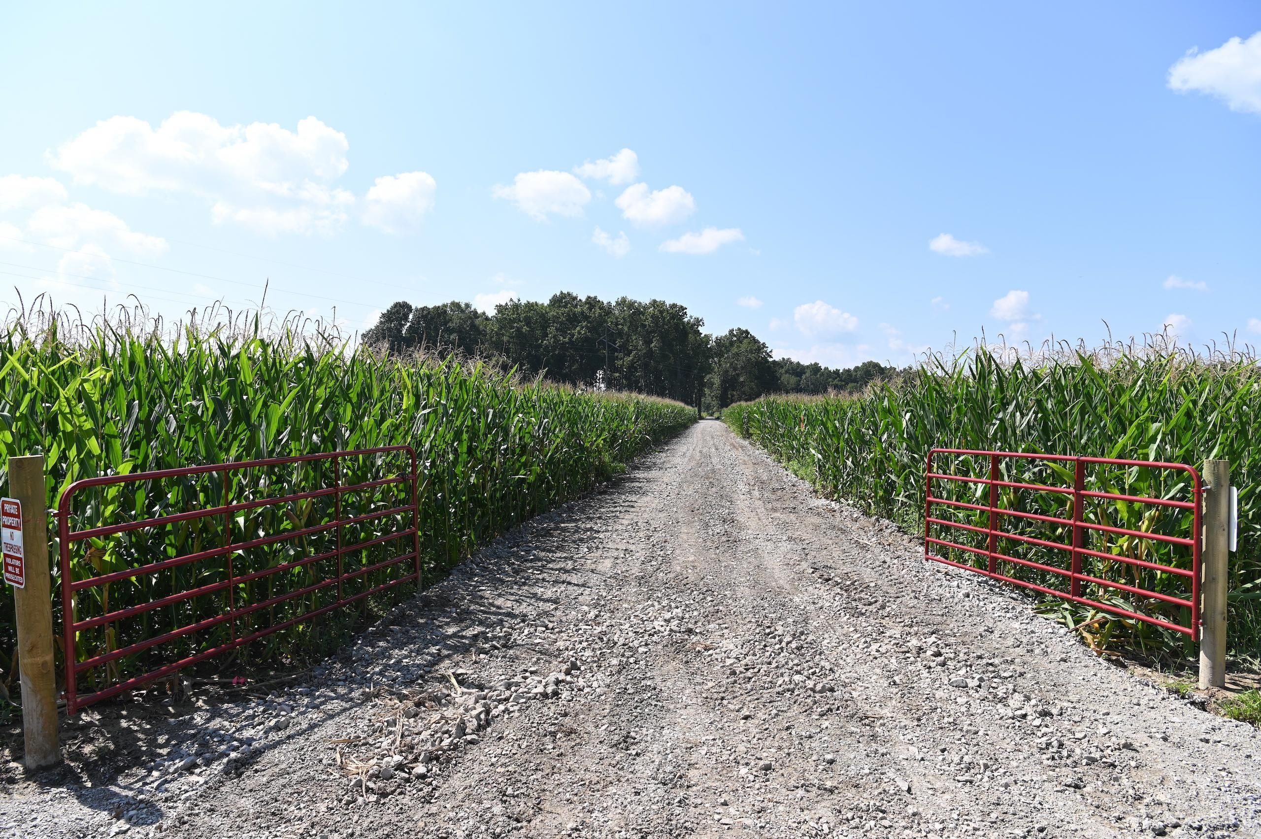 Patoka, Marion County, IL Recreational Property, Timberland Property