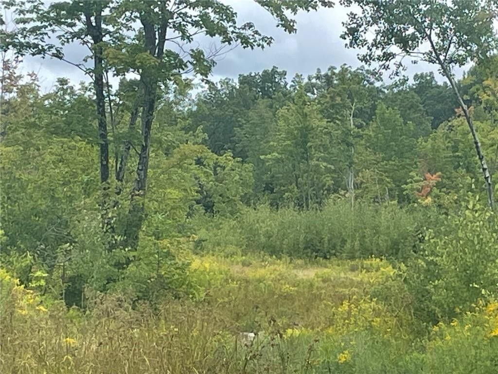 Exeland, Sawyer County, WI Undeveloped Land for sale Property ID