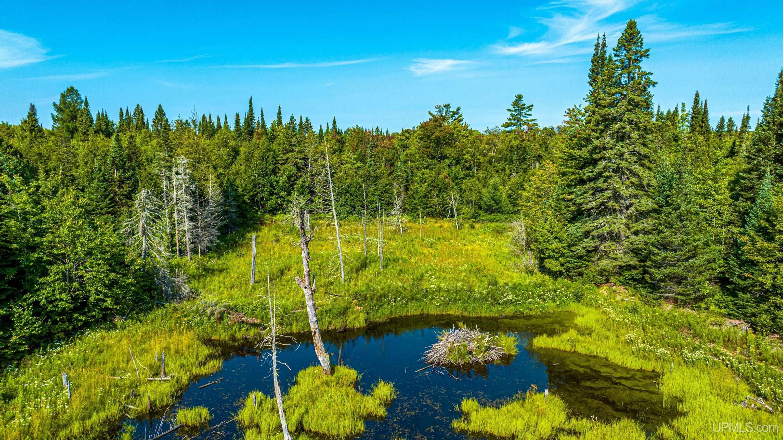Lake Linden, Houghton County, MI Undeveloped Land for sale Property ID