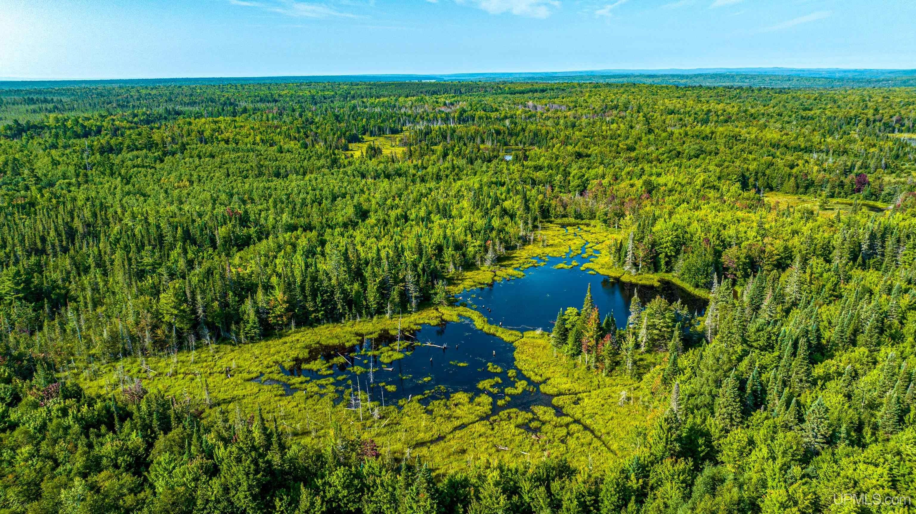 Lake Linden, Houghton County, MI Undeveloped Land for sale Property ID