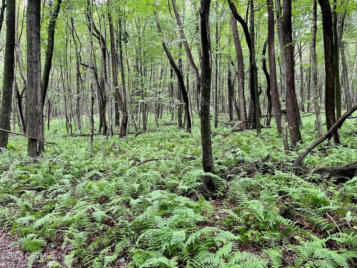 Mine Gap Rd, Catawissa, PA 17820 MLS 2094898 LandWatch