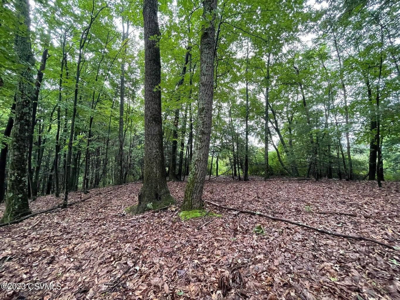 Cemetery Rd, Stillwater, PA 17878 MLS 2094899 LandWatch