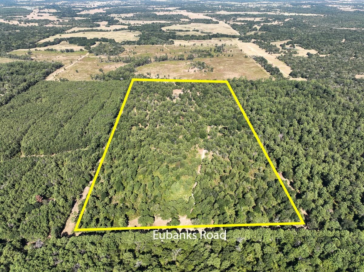 Bedias, Grimes County, TX Recreational Property, Timberland Property, Hunting Property for sale