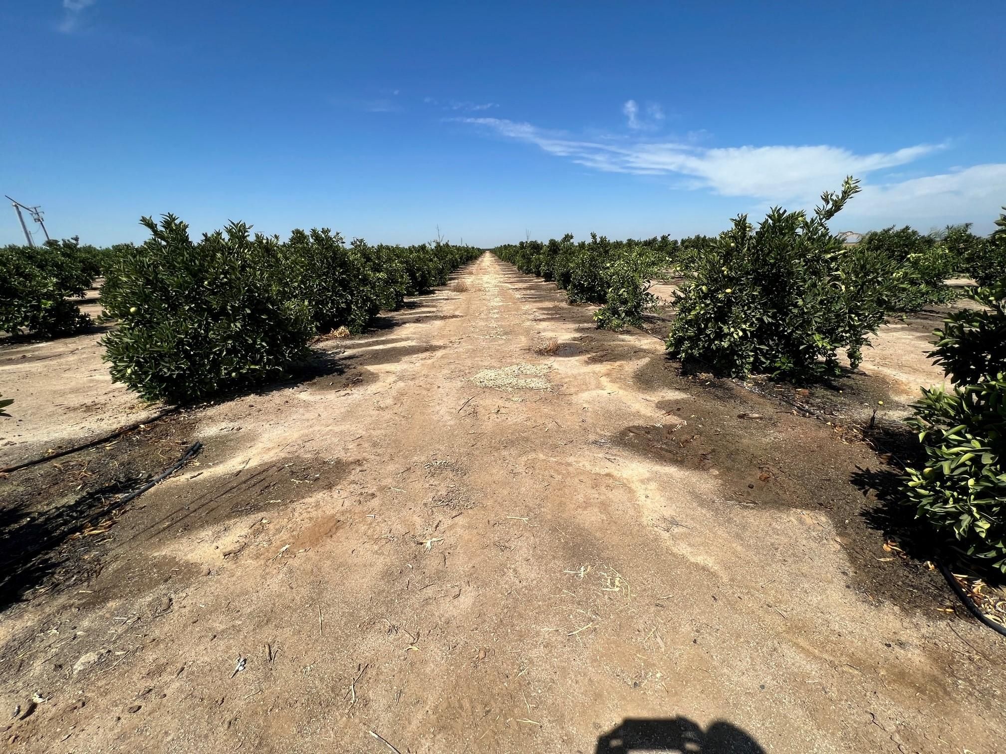 47.52 acres in Ducor, CA, 93218 LandWatch